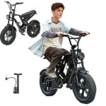 V�lo electrique vtt 16 pouces 500w 48v / 104ah 35km / h autonomie 55km mode assist vae avec porte - bouteille ...