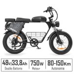 V�lo electrique 20 autonomie 150km batterie 48v 338ah 45km / h shimano 7 vitesses vtt fat bike noir