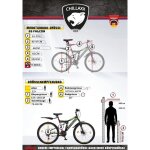 Vélo vtt chillaxx falcon 24 et 26suspension complète21 vitessesfrein à disquecadre en acier Vélo vtt chillaxx falcon 24 et 26suspension complète21 vitessesfrein à disquecadre en acier