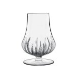 Verre  digestif 23cl - lot de 6 - mixology - bruno evrard