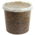 Vers de farine schs (5l) - friandises nutritives pour oiseaux sauvages