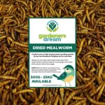 Vers de farine schs gardenersdream - friandises nutritives pour oiseaux sauvages (5kg)