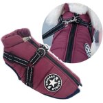 Veste pour petit chien avec harnaisgilet de sport dextrieur pour chienmanteau dhiver chaud pour chatschiotspe ...