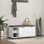 Vidaxl banc dentr�e blanc 100 x 38 x 46 cm avec coussin et grand rangement finition mate