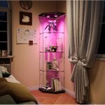 Vitrine en verre - noir - 1 porte 4 �tag�res - verre tremp� - �clairage led