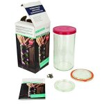 Weck� kit de d�marrage 3 en 1 - bocal de fermentation conservation c