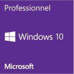 Windows pro 10 oem 32 bit