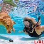 Zuyoo masque de plongée intégral adultes snorkeling diving scuba package set double tube respiratoire ... Zuyoo masque de plongée intégral adultes snorkeling diving scuba package set double tube respiratoire ...