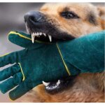 1 paire de gants anti - morsures paissis et allongs pour dressage de chiens