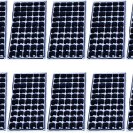 10 pack plateau de semis 50 trous cellules � semis plateau de d�marrage plantation conteneur