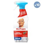 10 sprays javel eucalyptus 500ml mr. propre