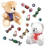 2 peluches oursons accompagnes dun sachet de 20 chocolats de nol