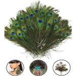 20 pcs plumes de paon paon plume avec des yeux pour bricolage décoration de la maison de bijoux faire ... 20 pcs plumes de paon paon plume avec des yeux pour bricolage décoration de la maison de bijoux faire ...