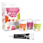 3 colorants - armes alimentaires framboise - abricot - pistache + stylo glaage noir