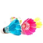 Volants de badminton - non spécifié - taille standard - couleur verte - mixte - 3 pièces Volants de badminton - non spécifié - taille standard - couleur verte - mixte - 3 pièces