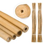 50x tiges en bambou 150 cm en bambou naturel b�tons en bambou comme tuteur ou d�coration pour bricoler ...