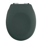 Abattant wc thermo dur avec frein de chute neela vert fonc mat - charnires abs chrom spirella