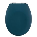 Abattant wc thermo dur avec frein de chute neela ptrole mat - charnires abs chrom spirella