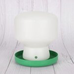 Abreuvoir automatique distributeur deau pour oiseaux par gravit mangeoire pour perroquet abreuvoir pigeon ...