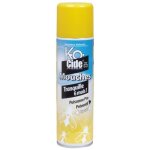 A�rosol laque mouches - 250 ml