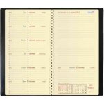 Agenda - quo vadis - civil 2014 - couverture plastifie graine - format b6 - spirale