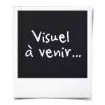 Agrafeuse - cloueuse sans fil 20v + 100 agrafes + 100 clous - dual power powdp7010 - livre sans batterie ...