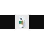 Alimentation - virbac - hpm feline kidney & joint kj2 - croquettes pour chats - 3 kg - adulte