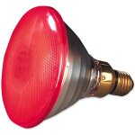 Ampoule �conomique � infrarouge - 175 watts