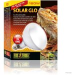 Ampoule simulant la lumi�re du soleil pour terrarium - exo terra - solar glo - uvb uva lumi�re visible ...