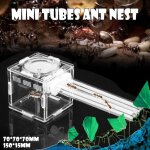 Ant nid tube mini verre tube fourmilière ant farm avec zone active granja de hormigas Ant nid tube mini verre tube fourmilière ant farm avec zone active granja de hormigas