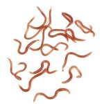 App�ts de p�che - omabeta - leurres en pvc 10cm - 17 - 18 pi�ces - odeur de poisson - mixte