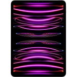 Apple - ipad pro (2022) - 11 - wifi + cellular - 2 to - gris sid�ral