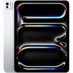 Apple - ipad pro m5 - 13 - wi - fi + cellular - 256 go - verre standard - silver