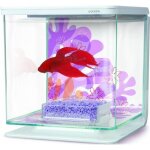 Aquarium marina betta kit 2l flower