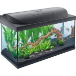 Aquarium tetra starter line led 105 l noir (eclairage led diurne et nocturne filtre easycrystal chauffage ...