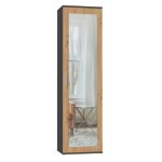 Armoire dentr�e - cdf - atara - 180x50x35 cm - 2 �tag�res - miroir - gris mat