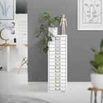 Ml - design armoire  dossiers avec 15 tiroirs et porte - tiquette 28x38x87cm blanche en acier classeur ...