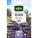 Vilmorin graines de haricot velour gousse violette - 5 m