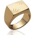 Bague chevalire homme - centmille - selle rectangle - plaqu or 18 carats - pis cisels