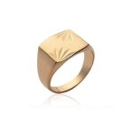 Bague chevali�re plaqu� or 18 carats 750 / 1000 - bijouxia - mixte - largeur 13 mm - hauteur 11 mm