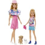 Barbie - coffret poup�es stacie et barbie avec 2�chiots et accessoires hrm09