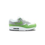 Basket nike air max 1 patta 20th anniversary chlorophyll hf1012 - 300
