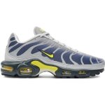 Baskets nike air max plus enfant bleues et jaunes