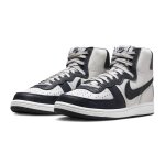 Baskets nike terminator high