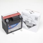 Batterie 12v 4ah tecnium moto yamaha 125 tdr 1994 à 2004 ytx5l - bs Batterie 12v 4ah tecnium moto yamaha 125 tdr 1994 à 2004 ytx5l - bs