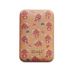 Batterie externe mr. wonderful 10. 000 mah