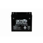 Batterie nh1220 12v 20ah tondeuse