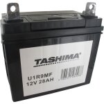 Batterie - greenstar - u1r9mf - 12v - 28a - autoport�e - vert
