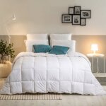 Couette tr�s chaude 220x240cm - sensation duvet 500g / m� gonflant extra - bleu calin