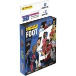 Blister - panini - foot ligue 1 2024 - 2025 - mcdonalds - 12 pochettes - 2 offertes - 98 stickers